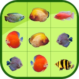 金沙集团9500APP最新版